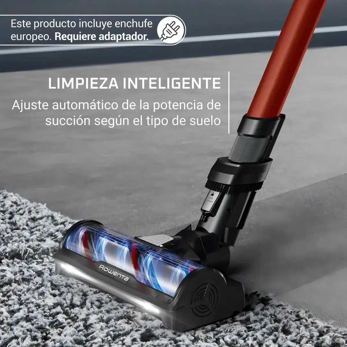 Imagen 5