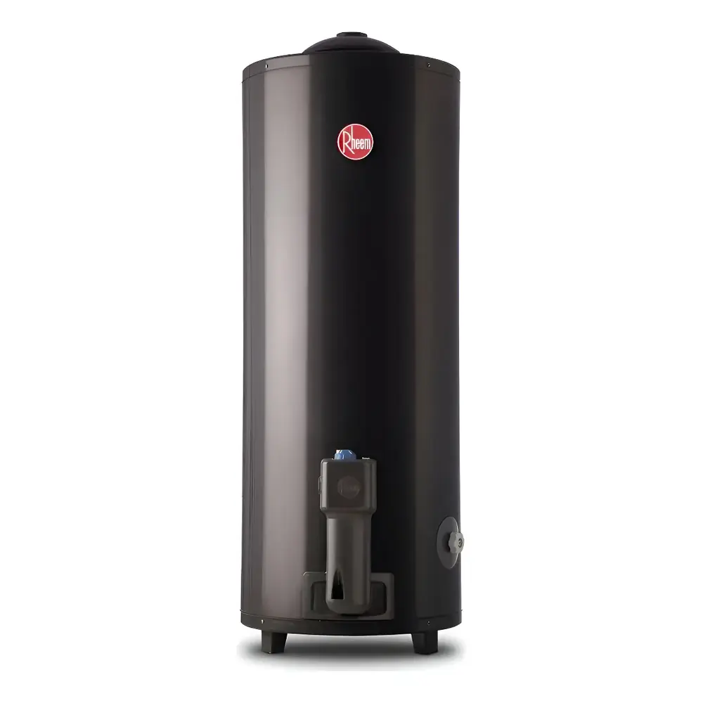 Termotanque Rheem 120 Litros TGNP120RH