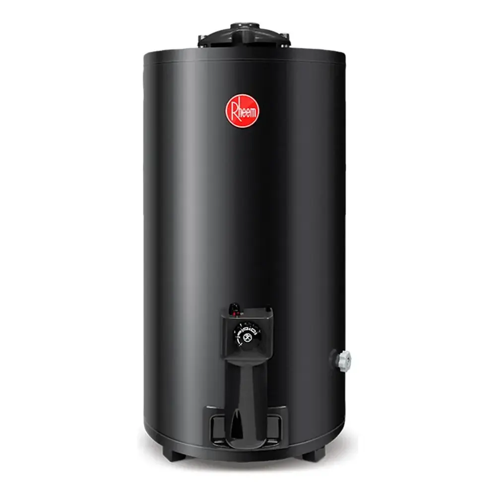 Termotanque Rheem 80 Litros TGNP080RH