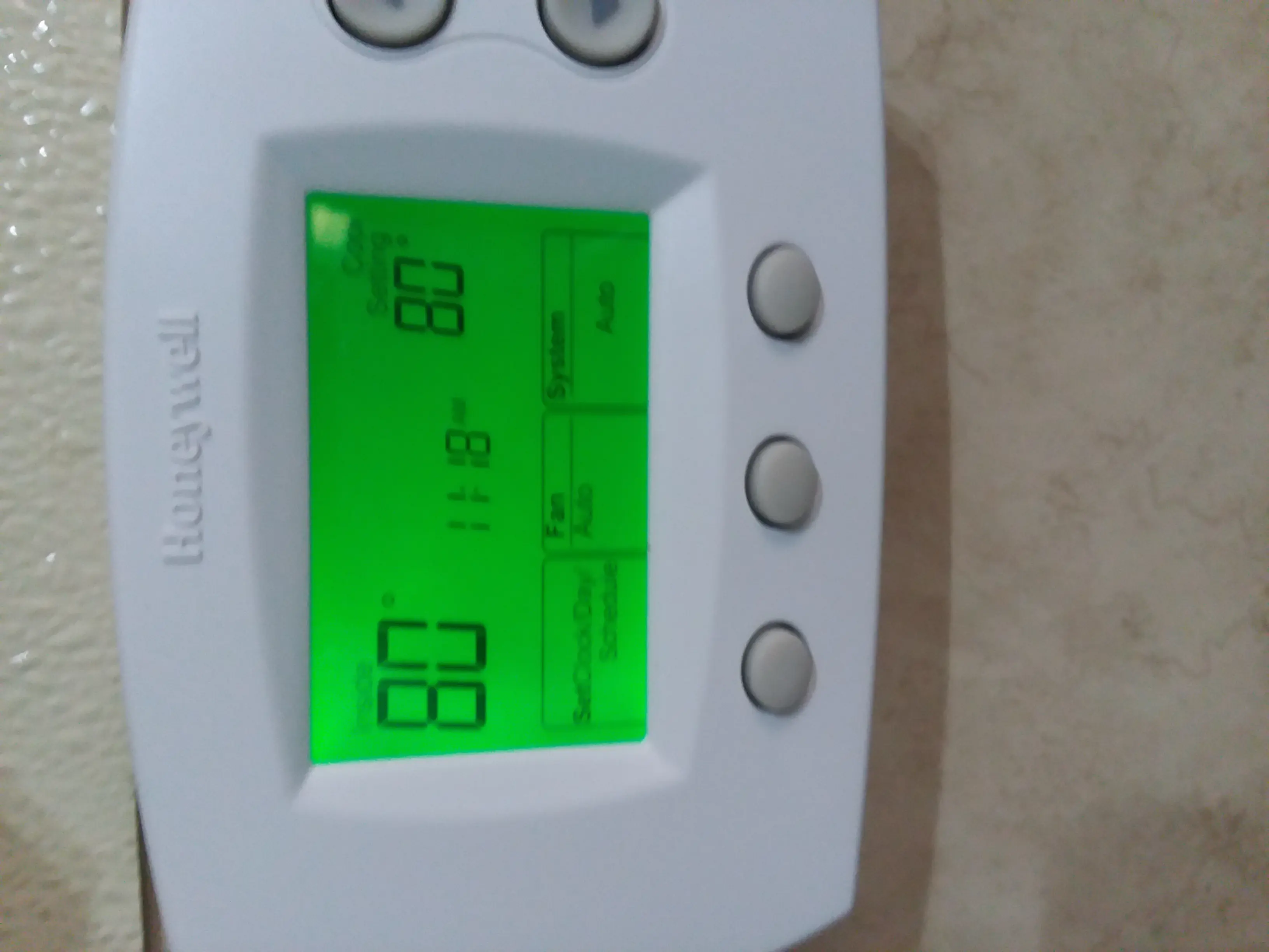 Imagen 5