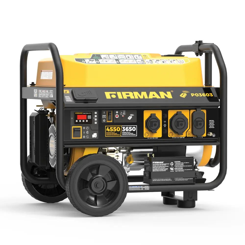 Firman 3650 Model P03603 Generator